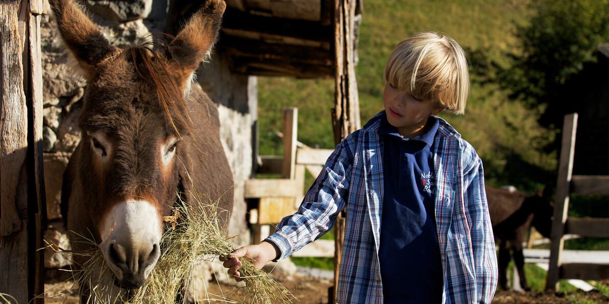 Children activities in Trentino: let’s pretend we are…