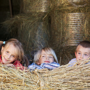 FARM HOLIDAYS IN TRENTINO