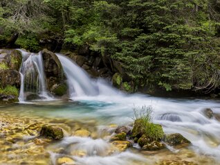 San Martino di Castrozza - Val Venegia - Torrente Travignolo