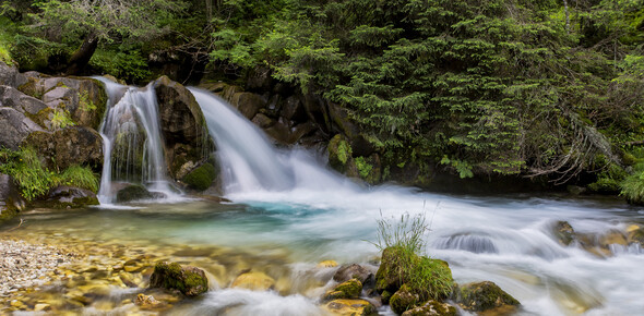 San Martino di Castrozza - Val Venegia - Torrente Travignolo