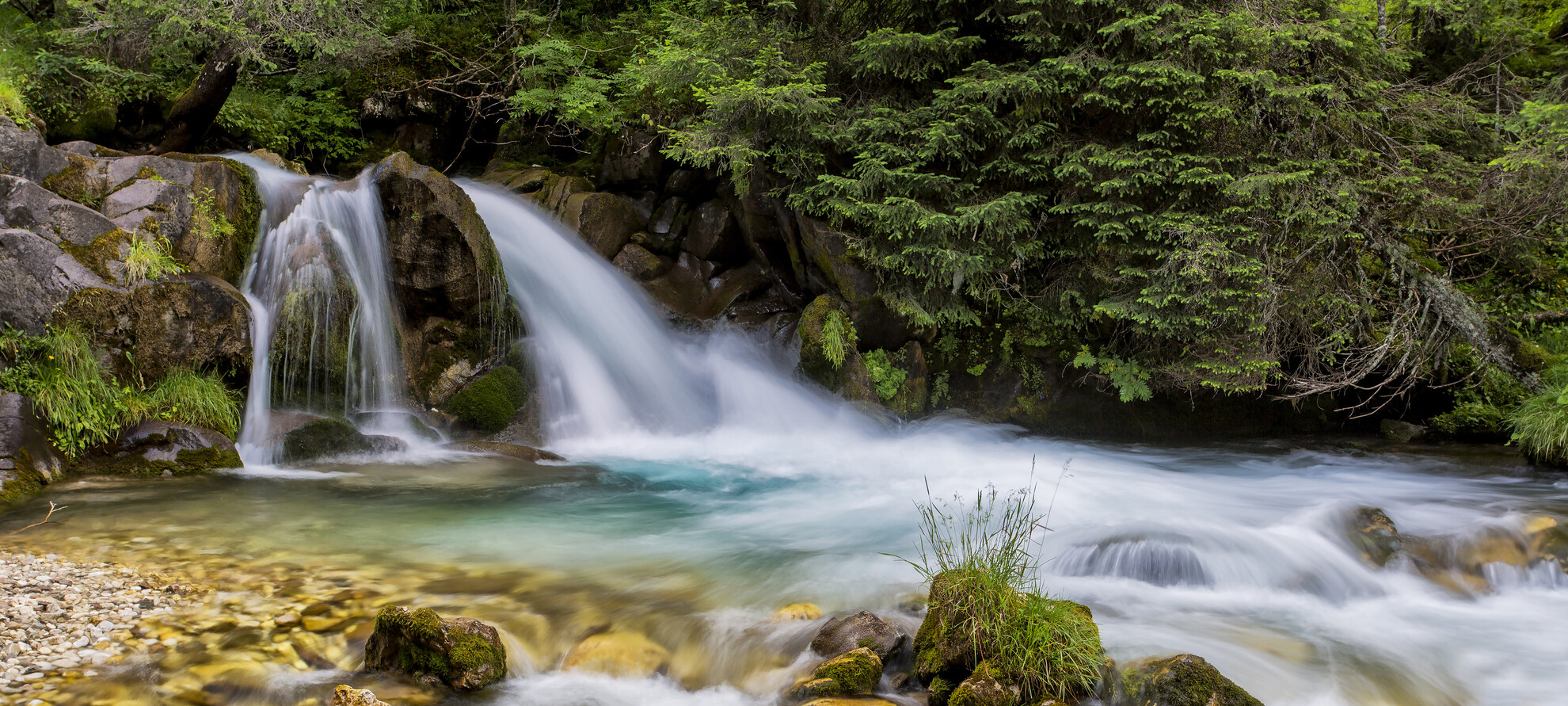 San Martino di Castrozza - Val Venegia - Torrente Travignolo