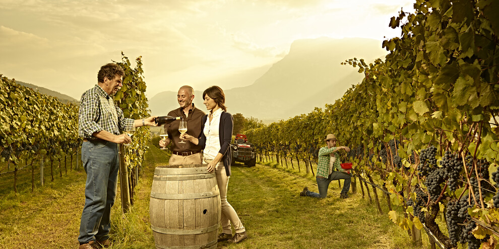 Valle dell'Adige - Vendemmia e degustazione di Trentodoc
