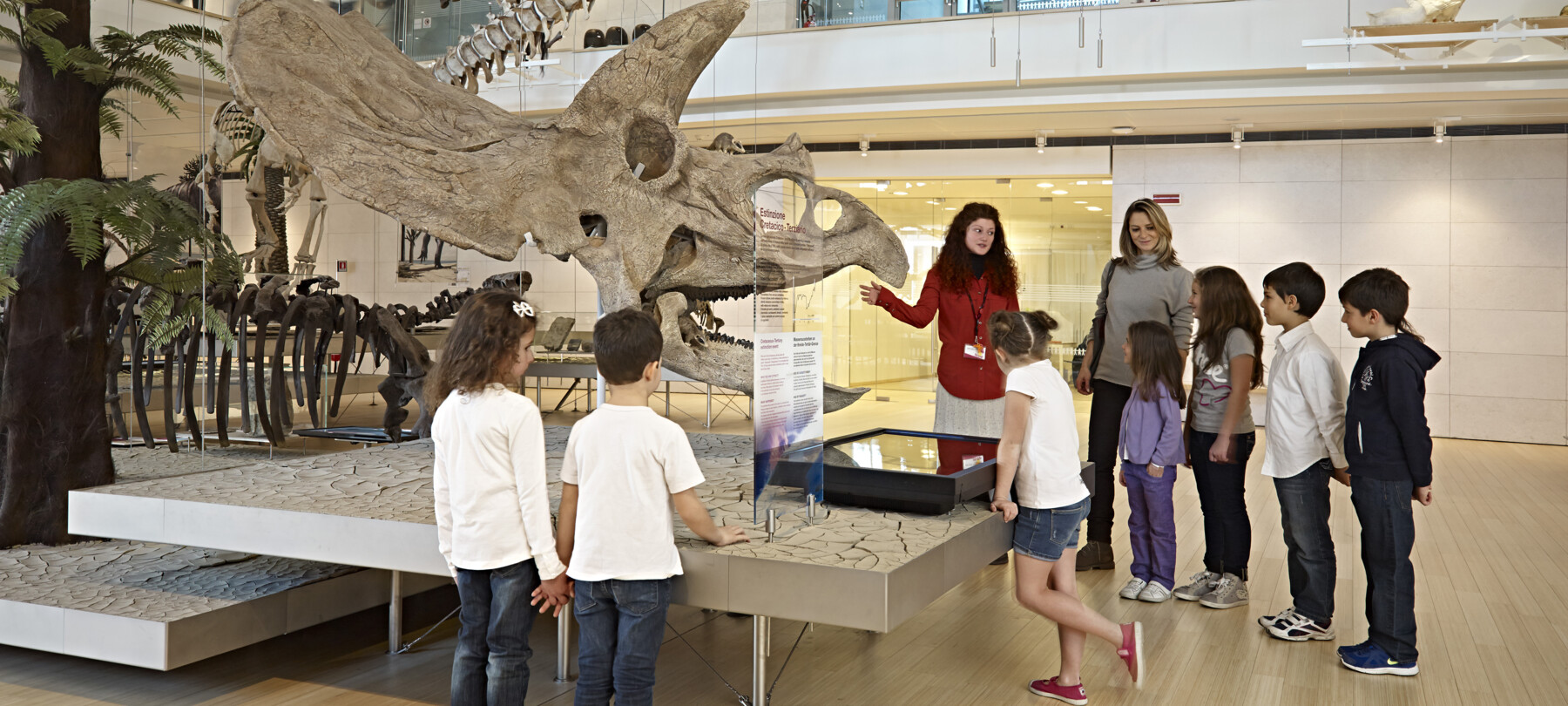 Dinosaur fossils in the Dolomites 