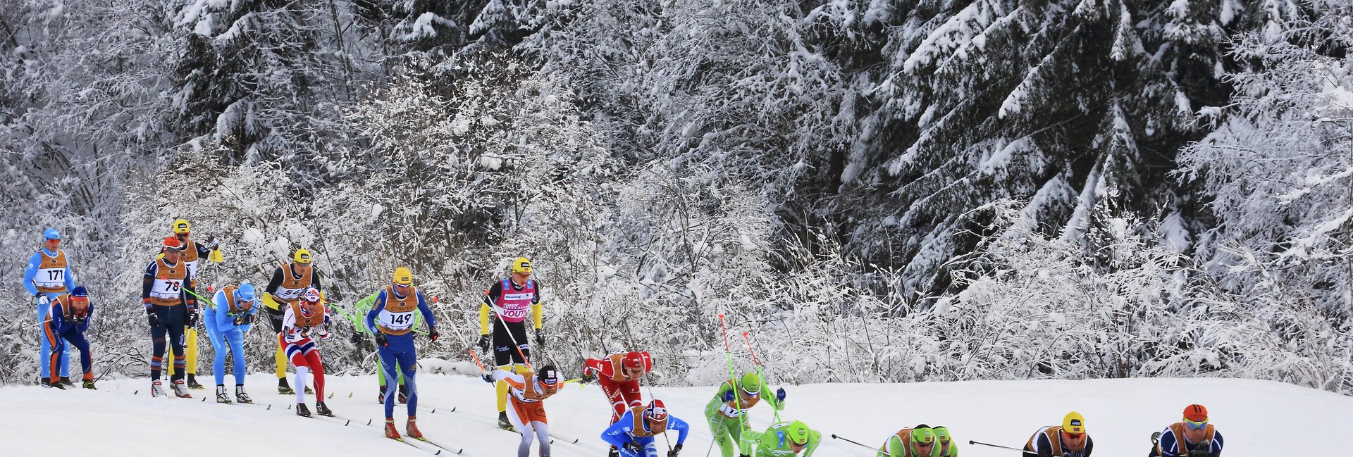 Val di Fassa - Sci Nordico - Sci di fondo - La Marcialonga