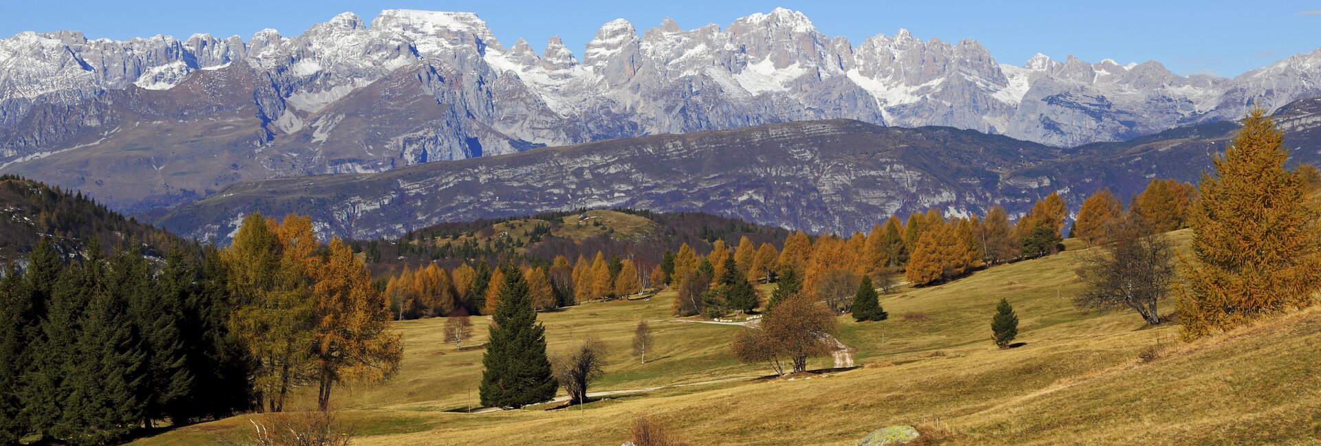 Network of Nature Reserves - Bondone