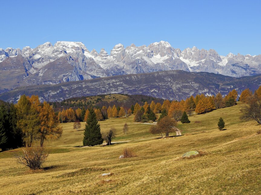 Network of Nature Reserves - Bondone