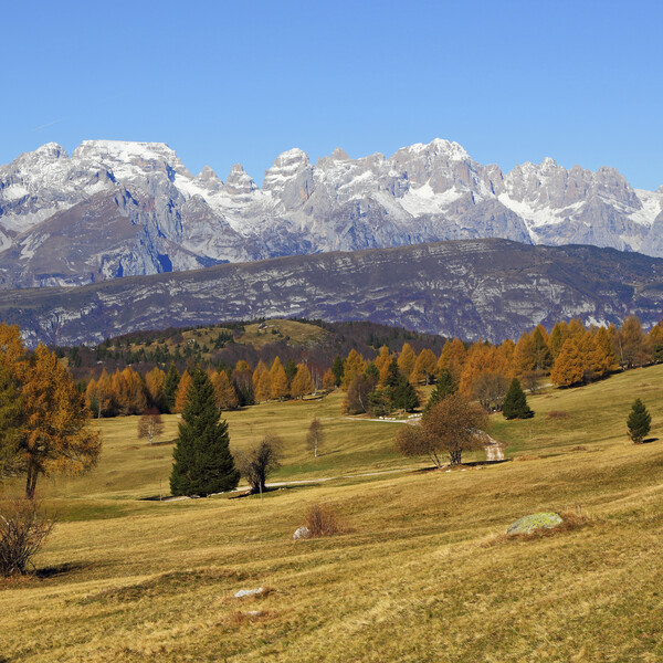 Network of Nature Reserves - Bondone