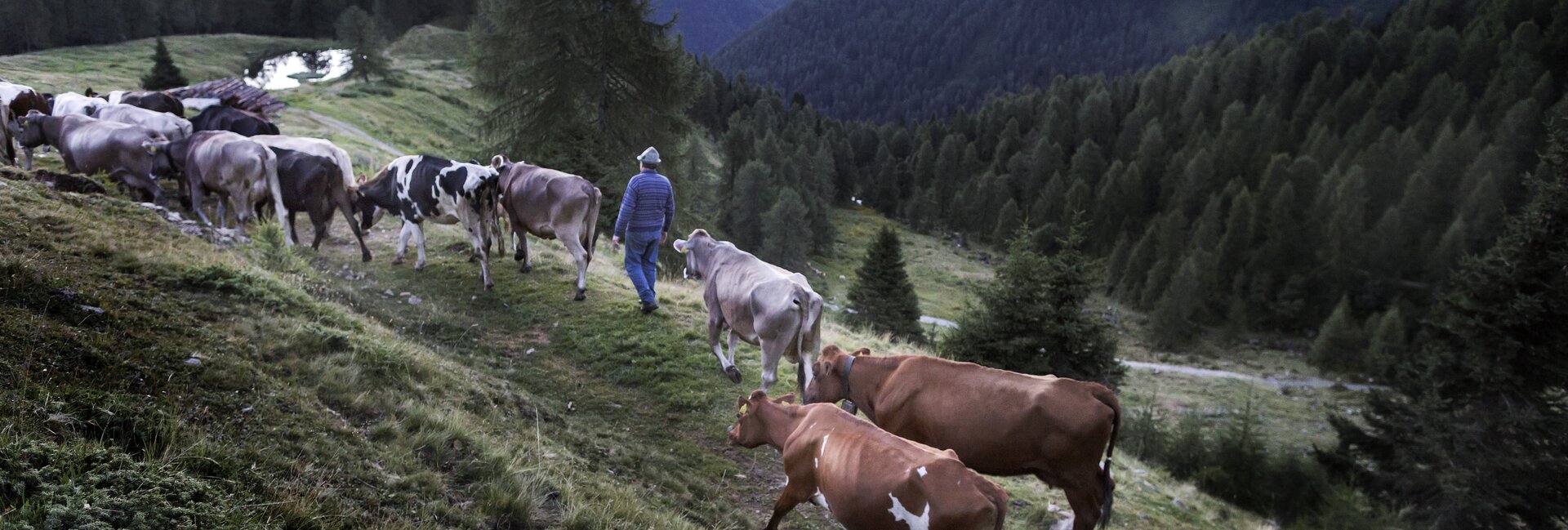 Val di Non