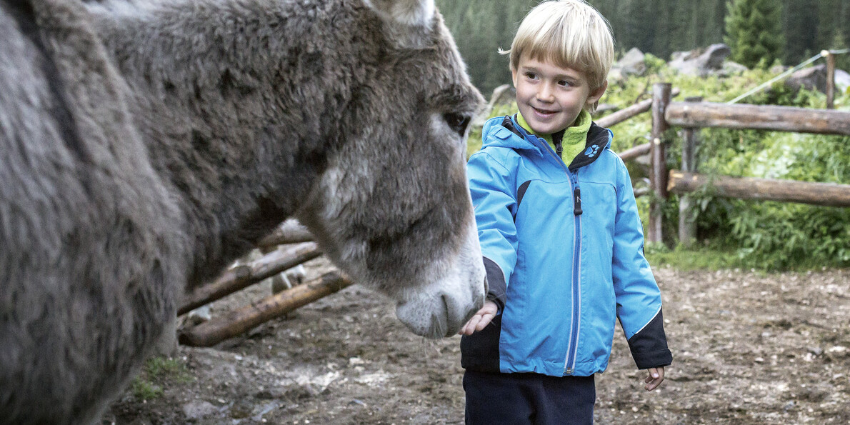 Mountain holidays with children? The Italian Dolomites are your best pick!