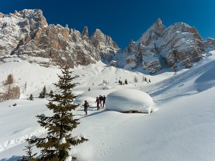 San Martino di Castrozza, Primiero e Vanoi - Val Venegia
