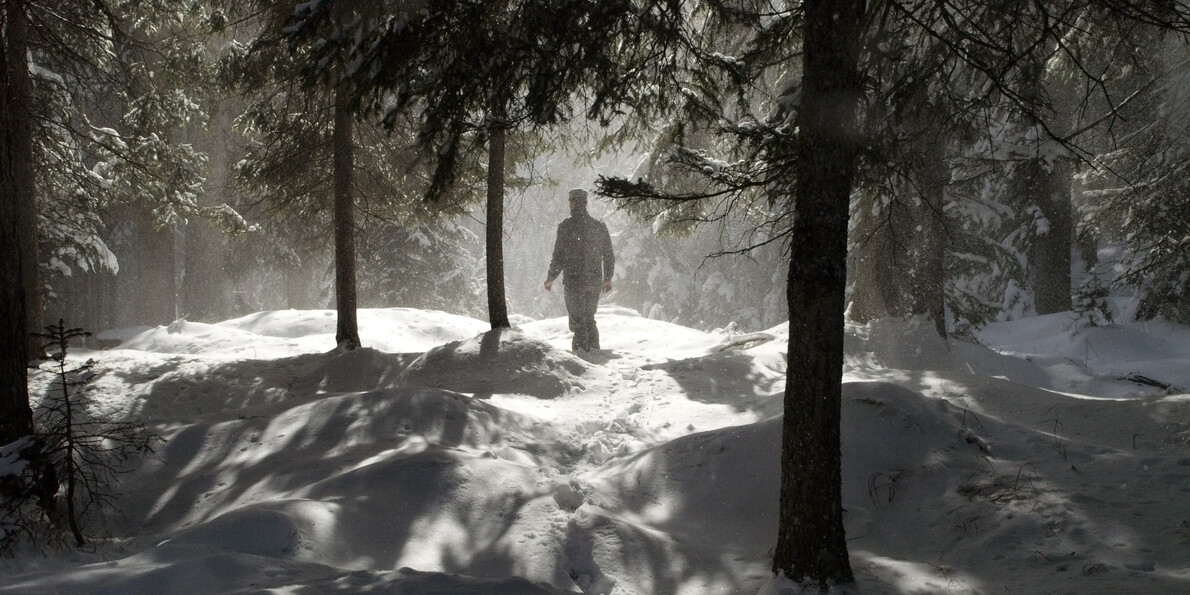 "Музыкальный лес в Трентино, Италия"  #4