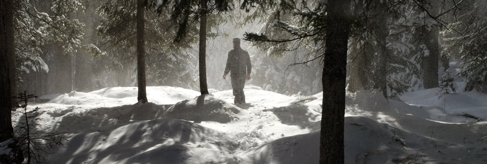 custode forestale nella foresta di Paneveggio