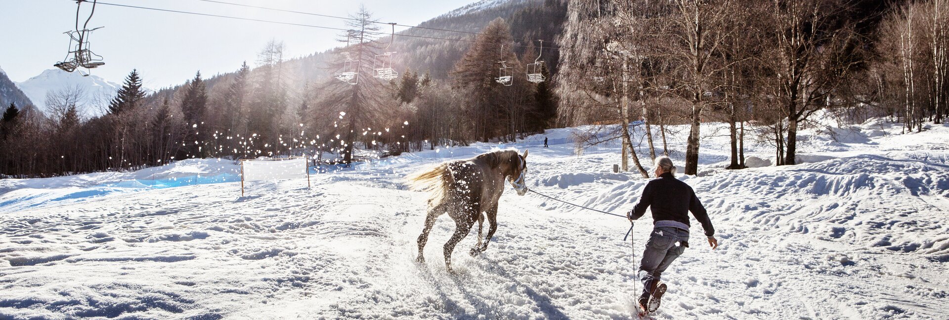 Val di Sole, Pejo, Rabbi - Allevatore con cavallo nella neve
