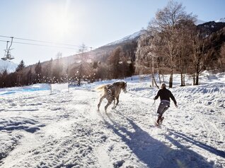 Val di Sole, Pejo, Rabbi - Allevatore con cavallo nella neve
