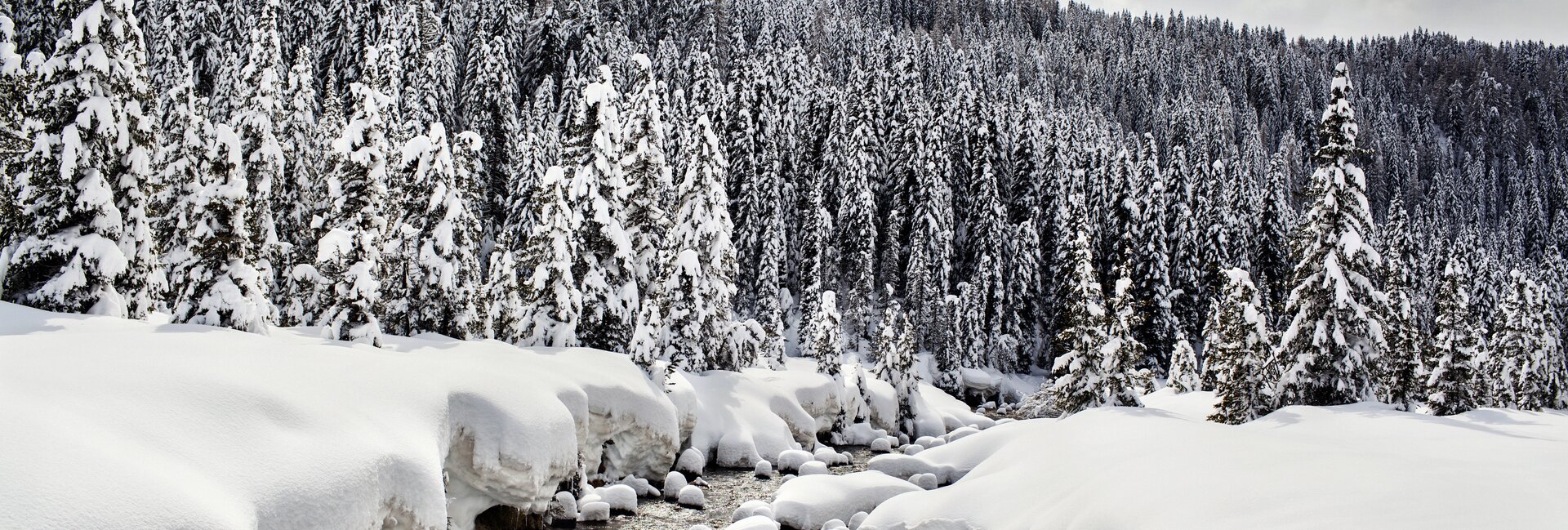 Paneveggio-Pale di San Martino Nature Park