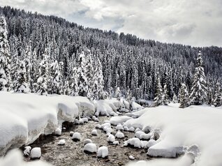 Paneveggio-Pale di San Martino Nature Park