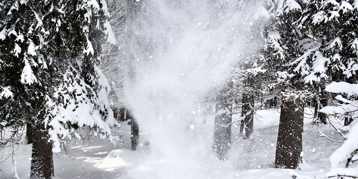 "Музыкальный лес в Трентино, Италия"  #2