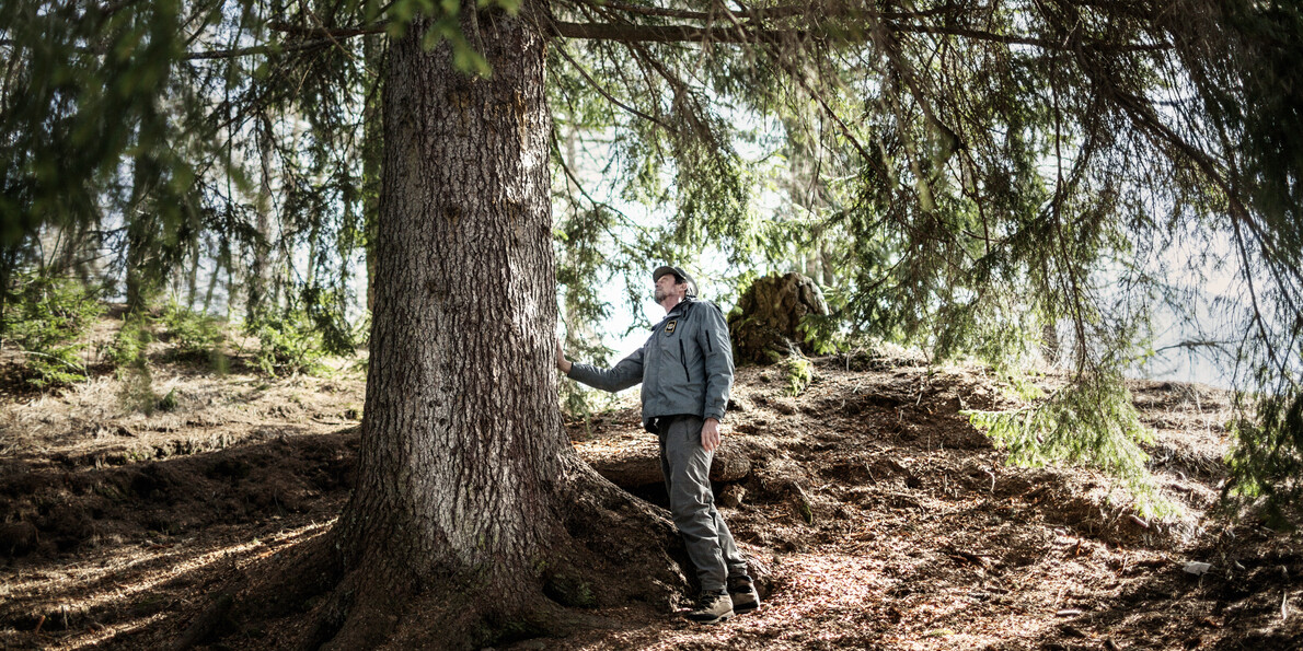 Оглянитесь по сторонам – красота!