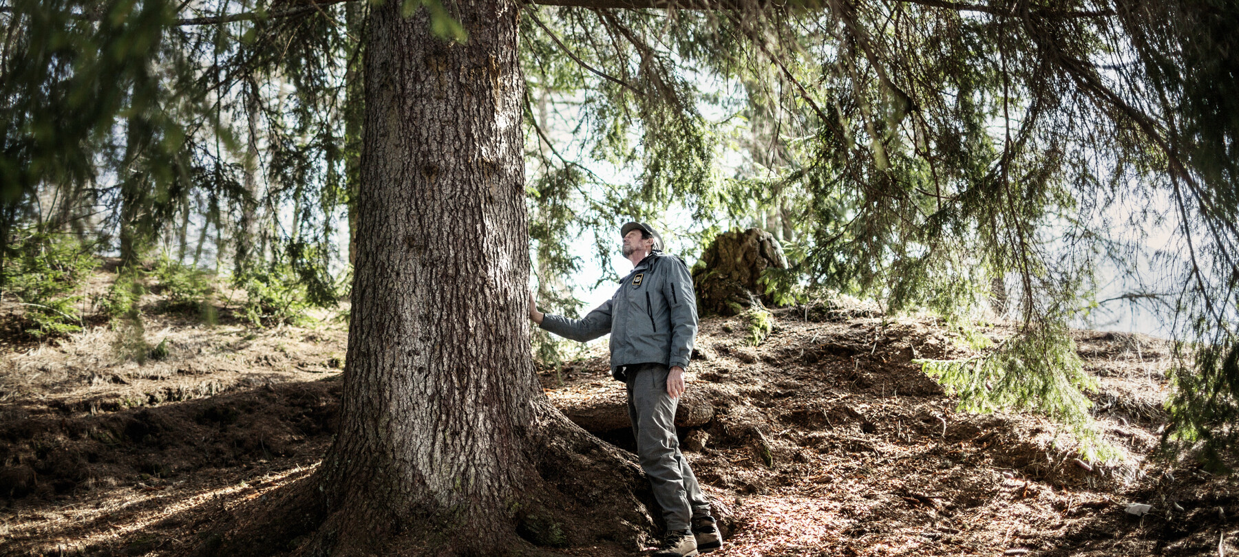 Sustainable Val di Fiemme