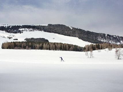 Centro Fondo Monte Bondone