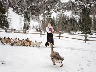 San Martino di Castrozza - Val Canali - Malga Canali