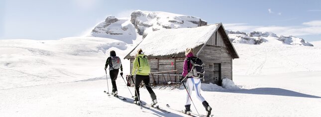 Adamello Brenta Nature Park