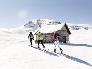 Adamello Brenta Nature Park