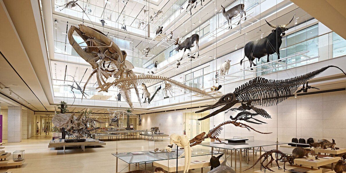 Обязательно следует посетить известный Музей науки MUSE