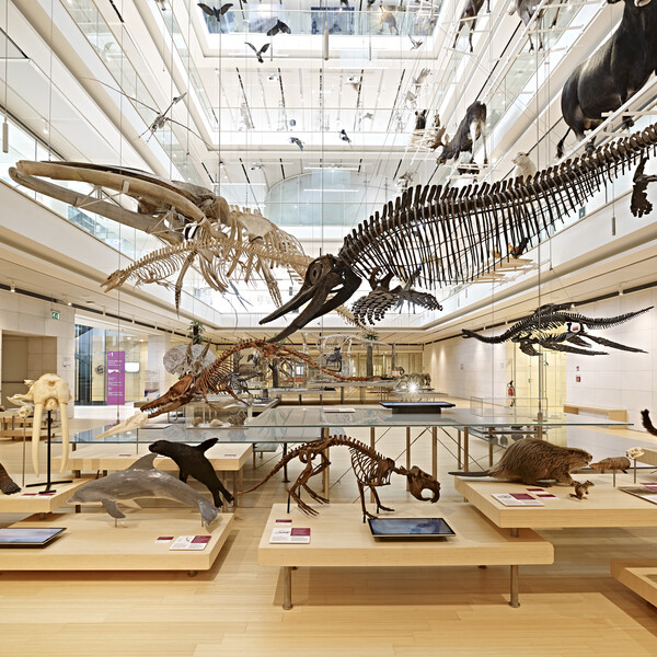 Trentino - Trento - Museum der Naturwissenschaften