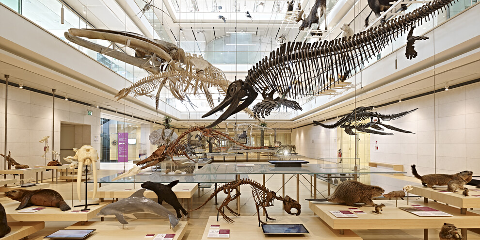 Trentino - Trento - Muse - Science Museum