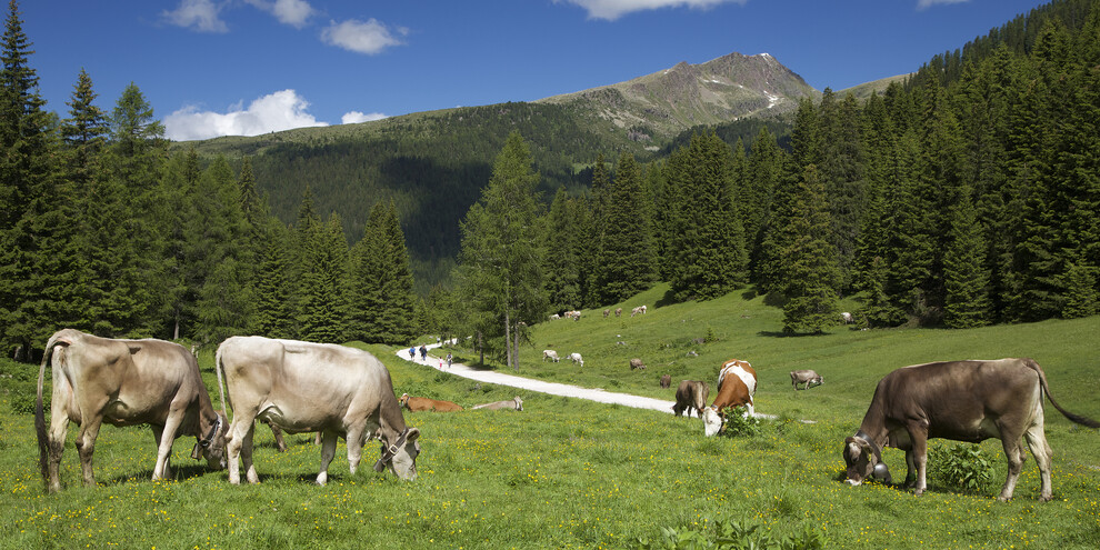 Val Venegia – San Martino di Castrozza