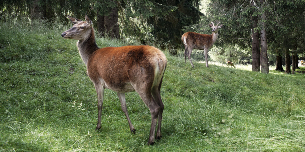 Parks and Protected Areas