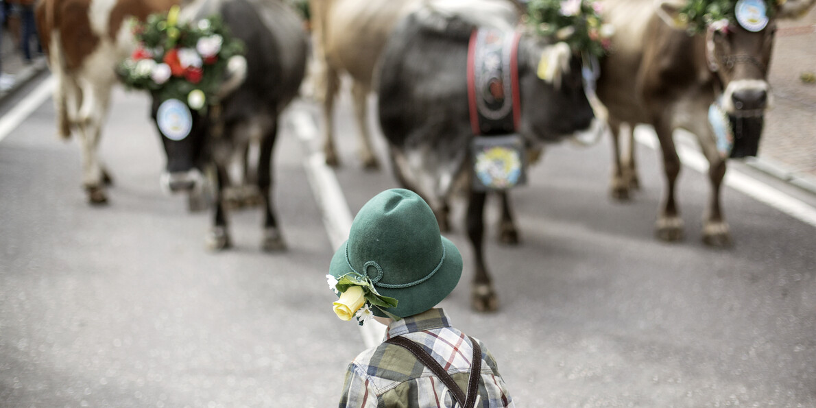 In the mountains, children enjoy themselves and keep in touch with nature - Dolomites - Italian alps