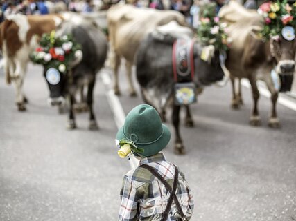 In the mountains, children enjoy themselves and keep in touch with nature - Dolomites - Italian alps
