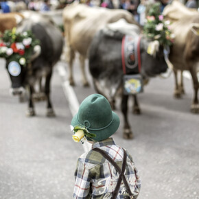 In the mountains, children enjoy themselves and keep in touch with nature - Dolomites - Italian alps