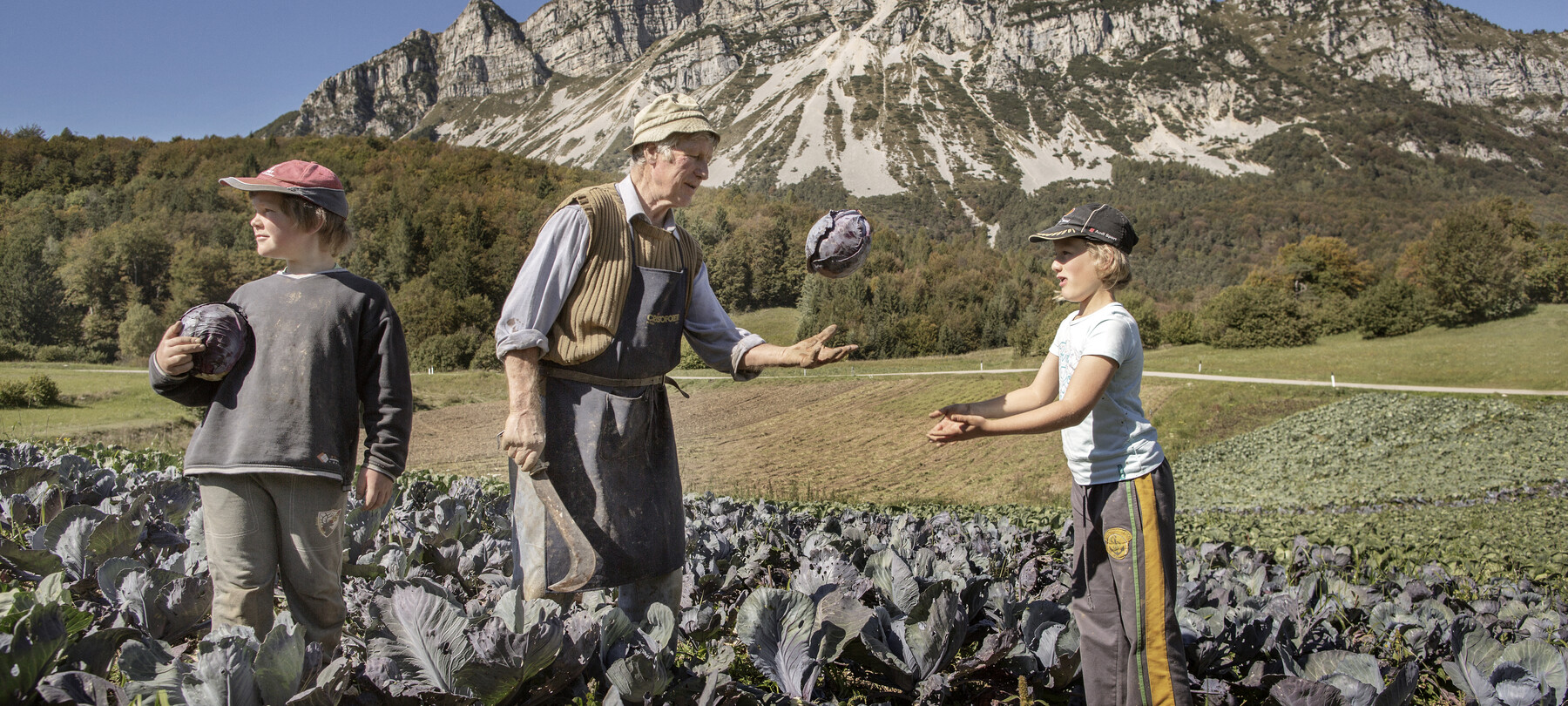 Farmers’ Markets in Trentino