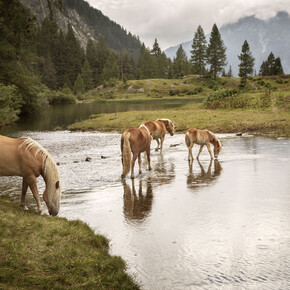 A certified green holiday