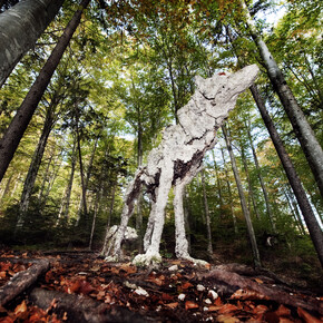 Land art in Trentino