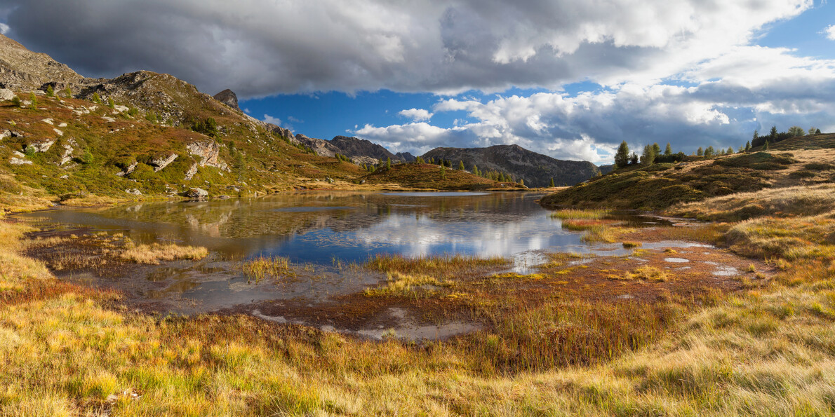 Оглянитесь по сторонам – красота!