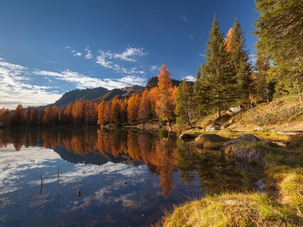 Where to admire the foliage in Trentino