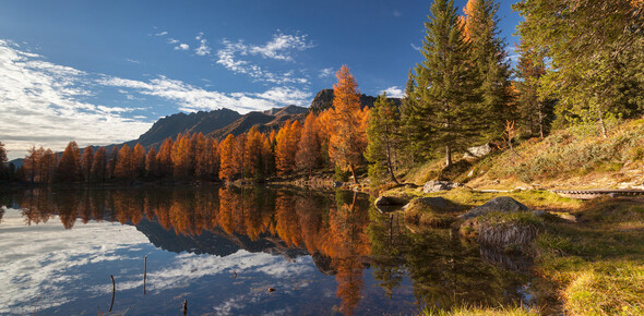 Wo das Laub im Trentino bewundern