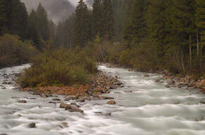 Torrente in Val di Genova