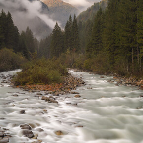 Torrente in Val di Genova