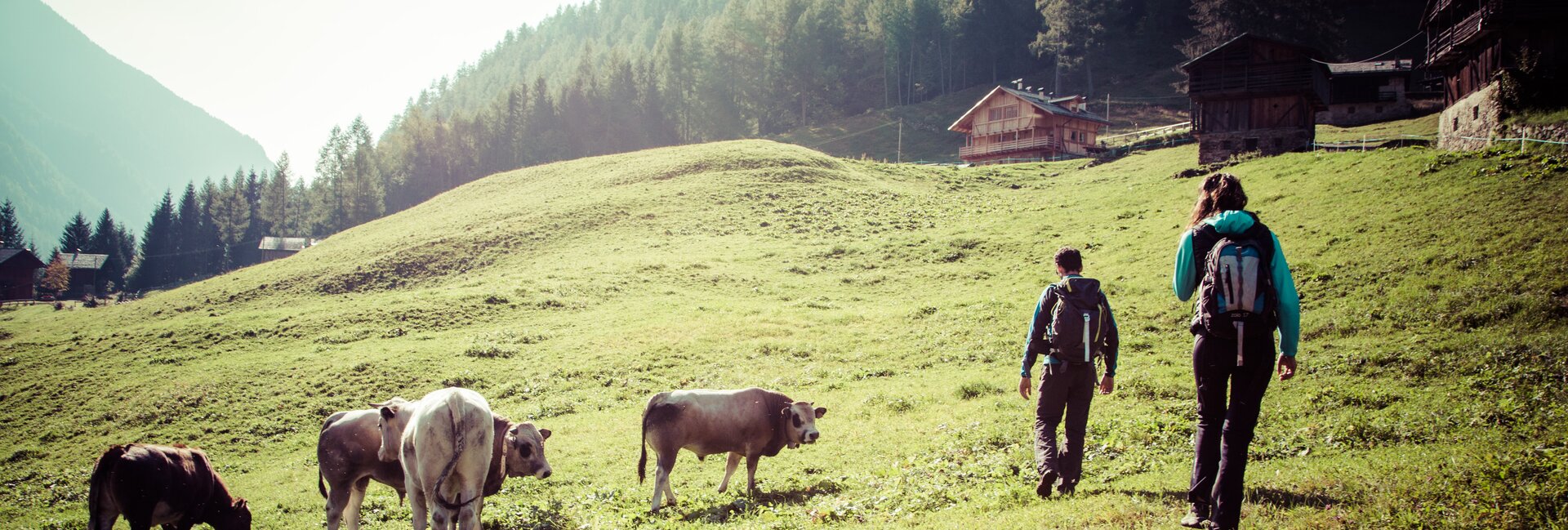 Val di Sole - Val di Rabbi - Trekking