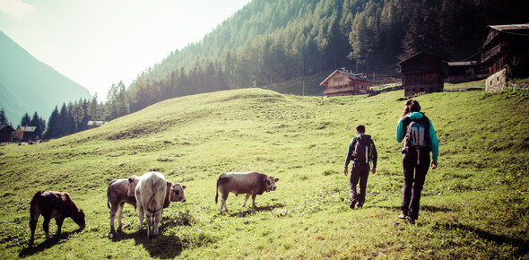 Val di Sole - Val di Rabbi - Trekking