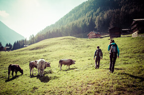 Val di Sole - Val di Rabbi - Trekking