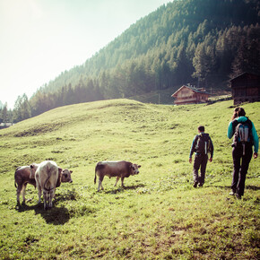 Val di Sole - Val di Rabbi - Trekking