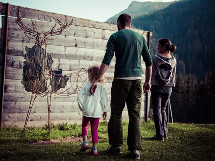 Paneveggio-Pale di San Martino Nature Park