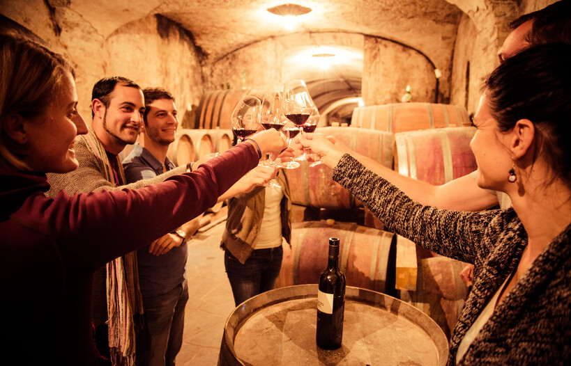 Discover all of Trentino’s wines!