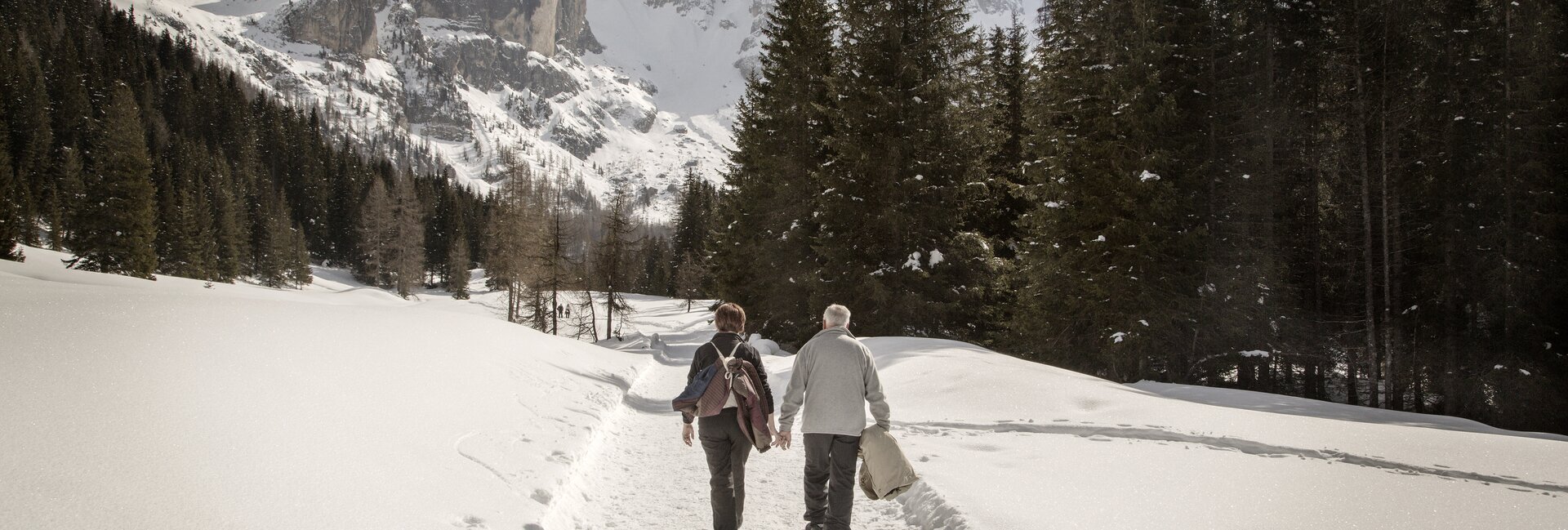 San Martino di Castrozza, Passo Rolle, Primiero en Vanoi 